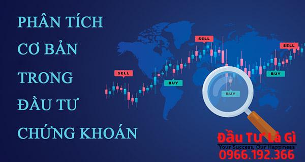 Cách phân tích đầu tư chứng khoán cơ bản hiệu quả nhà đầu tư cần nắm rõ